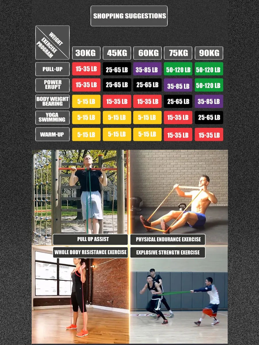 FlexForce Resistance Bands - Highlights flexibility + strength